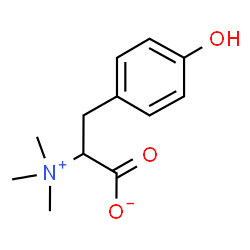 ChemSpider 2D Image | tyrosine betaine | C12H17NO3
