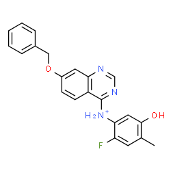 ChemSpider 2D Image | 7-(Benzyloxy)-N-(2-fluoro-5-hydroxy-4-methylphenyl)-4-quinazolinaminium | C22H19FN3O2