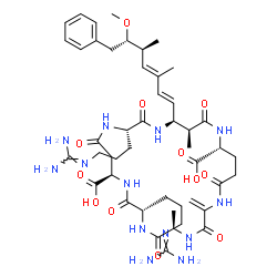 ChemSpider 2D Image | (5R,8S,11R,15S,18S,19S,22R)-8,15-Bis{3-[(diaminomethylene)amino]propyl}-18-[(1E,3E,5S,6S)-6-methoxy-3,5-dimethyl-7-phenyl-1,3-heptadien-1-yl]-5,19-dimethyl-2-methylene-3,6,9,13,16,20,25-heptaoxo-1,4,7
,10,14,17,21-heptaazacyclopentacosane-11,22-dicarboxylic acid | C47H71N13O12
