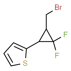 ChemSpider 2D Image | 2-[3-(Bromomethyl)-2,2-difluorocyclopropyl]thiophene | C8H7BrF2S