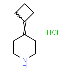 ChemSpider 2D Image | 4-Cyclobutylidenepiperidine hydrochloride (1:1) | C9H16ClN