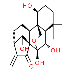 ChemSpider 2D Image | (1alpha,5beta,6beta,7beta,8alpha,9beta,10alpha,13alpha,14R)-1,6,7,14-Tetrahydroxy-7,20-epoxykaur-16-en-15-one | C20H28O6