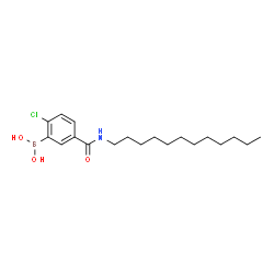 ChemSpider 2D Image | [2-Chloro-5-(dodecylcarbamoyl)phenyl]boronic acid | C19H31BClNO3