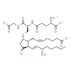 ChemSpider 2D Image | (5Z,9alpha,13E,15S)-9-({(2R)-2-{[(4S)-4-Ammonio-4-carboxylatobutanoyl]amino}-3-[(carboxylatomethyl)amino]-3-oxopropyl}sulfanyl)-15-hydroxy-11-oxoprosta-5,13-dien-1-oate | C30H45N3O10S