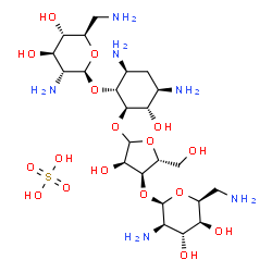ChemSpider 2D Image | (1R,2R,3S,4R,6S)-4,6-Diamino-2-{[3-O-(2,6-diamino-2,6-dideoxy-beta-L-idopyranosyl)-D-ribofuranosyl]oxy}-3-hydroxycyclohexyl 2,6-diamino-2,6-dideoxy-beta-D-glucopyranoside sulfate (1:1) | C23H48N6O17S