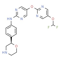 ChemSpider 2D Image | 5-{[5-(Difluoromethoxy)-2-pyrimidinyl]oxy}-N-{4-[(2R)-2-morpholinyl]phenyl}-2-pyrimidinamine | C19H18F2N6O3