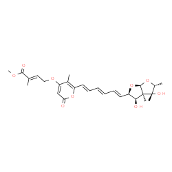 ChemSpider 2D Image | Methyl (2E)-4-[(6-{(1E,3E,5E)-6-[(2R,3R,3aR,4R,5R,6aS)-3,4-dihydroxy-3a,4,5-trimethylhexahydrofuro[2,3-b]furan-2-yl]-1,3,5-hexatrien-1-yl}-5-methyl-2-oxo-2H-pyran-4-yl)oxy]-2-methyl-2-butenoate | C27H34O9