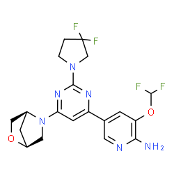 ChemSpider 2D Image | 3-(Difluoromethoxy)-5-{2-(3,3-difluoro-1-pyrrolidinyl)-6-[(1S,4S)-2-oxa-5-azabicyclo[2.2.1]hept-5-yl]-4-pyrimidinyl}-2-pyridinamine | C19H20F4N6O2