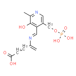 ChemSpider 2D Image | 4-[(E)-({3-Hydroxy-2-methyl-5-[(phosphonooxy)methyl]-4-pyridinyl}methylene)amino]-4-pentenoic acid | C13H17N2O7P