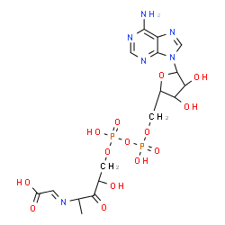 ChemSpider 2D Image | (3R,5R,8R,10S,11E)-1-[(2R,3S,4R,5R)-5-(6-Amino-9H-purin-9-yl)-3,4-dihydroxytetrahydro-2-furanyl]-3,5,8-trihydroxy-10-methyl-9-oxo-2,4,6-trioxa-11-aza-3,5-diphosphatridec-11-en-13-oic acid 3,5-dioxide 
(non-preferred name) | C17H24N6O14P2