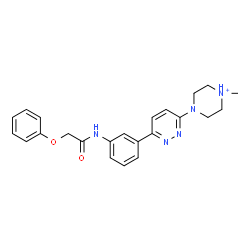 ChemSpider 2D Image | 1-Methyl-4-(6-{3-[(phenoxyacetyl)amino]phenyl}-3-pyridazinyl)piperazin-1-ium | C23H26N5O2
