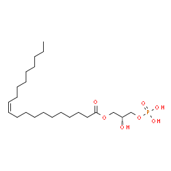 ChemSpider 2D Image | (2R)-2-Hydroxy-3-(phosphonooxy)propyl (11Z)-11-icosenoate | C23H45O7P