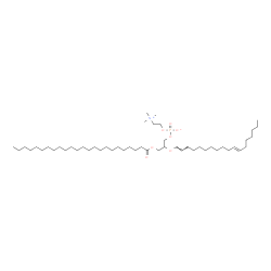 ChemSpider 2D Image | 2-[(1E,11E)-1,11-Octadecadien-1-yloxy]-3-(tetracosanoyloxy)propyl 2-(trimethylammonio)ethyl phosphate | C50H98NO7P