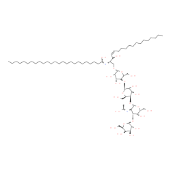 ChemSpider 2D Image | (1Z)-N-[(2S,3R,4Z)-1-{[beta-D-Galactopyranosyl-(1->3)-2-deoxy-2-[(E)-(1-hydroxyethylidene)amino]-beta-D-galactopyranosyl-(1->4)-beta-D-galactopyranosyl-(1->4)-(2xi)-beta-D-arabino-hexopyranosyl]oxy}-3
-hydroxy-4-octadecen-2-yl]pentacosanimidic acid | C69H128N2O23
