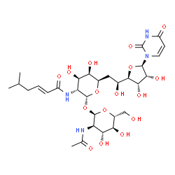ChemSpider 2D Image | (2E)-N-[(2R,3R,4R,5R,6R)-2-{[(2R,3R,4R,5S,6R)-3-Acetamido-4,5-dihydroxy-6-(hydroxymethyl)tetrahydro-2H-pyran-2-yl]oxy}-6-{(2S)-2-[(2R,3S,4R,5R)-5-(2,4-dioxo-3,4-dihydro-1(2H)-pyrimidinyl)-3,4-dihydrox
ytetrahydro-2-furanyl]-2-hydroxyethyl}-4,5-dihydroxytetrahydro-2H-pyran-3-yl]-5-methyl-2-hexenamide (non-preferred name) | C30H46N4O16