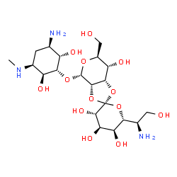 ChemSpider 2D Image | (2R,3'S,3aS,4S,4'R,5'S,6S,6'R,7S,7aS)-4-{[(1S,2S,3R,5S,6S)-3-Amino-2,6-dihydroxy-5-(methylamino)cyclohexyl]oxy}-6'-[(1R)-1-amino-2-hydroxyethyl]-6-(hydroxymethyl)octahydro-4H-spiro[1,3-dioxolo[4,5-c]p
yran-2,2'-pyran]-3',4',5',7-tetrol (non-preferred name) | C20H37N3O13