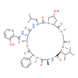 ChemSpider 2D Image | 3-Hydroxy-N-{(6S,9S,15R,16S,19R)-23-hydroxy-19-isobutyl-2,5,9,11,15-pentamethyl-6-[(2S)-3-methyl-2-butanyl]-1,4,7,10,13,17,20-heptaoxo-12-phenyldocosahydro-1H-pyrrolo[2,1-o][1,4,7,10,13,16,19]oxahexaa
zacyclodocosin-16-yl}-2-pyridinecarboxamide | C44H62N8O11
