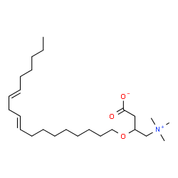 ChemSpider 2D Image | 3-[(9E,12E)-9,12-Octadecadien-1-yloxy]-4-(trimethylammonio)butanoate | C25H47NO3