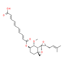 ChemSpider 2D Image | (2E,4E,6E,8E)-10-({(3R,4S,5R,6R)-5-Methoxy-4-[(2R,3R)-2-methyl-3-(3-methyl-2-buten-1-yl)-2-oxiranyl]-1-oxaspiro[2.5]oct-6-yl}oxy)-10-oxo-2,4,6,8-decatetraenoic acid | C26H34O7