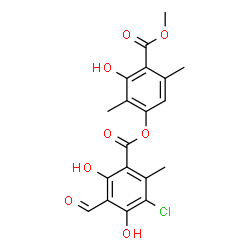 ChemSpider 2D Image | Chloroatranorin | C19H17ClO8
