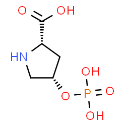 ChemSpider 2D Image | (4S)-4-(Phosphonooxy)-L-proline | C5H10NO6P