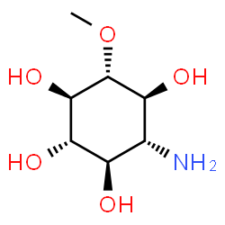 ChemSpider 2D Image | (1R,2S,3R,4R,5S,6R)-4-Amino-6-methoxy-1,2,3,5-cyclohexanetetrol | C7H15NO5