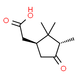 ChemSpider 2D Image | [(1S,3S)-2,2,3-Trimethyl-4-oxocyclopentyl]acetic acid | C10H16O3