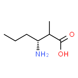 ChemSpider 2D Image | (3R)-3-Amino-2-methylhexanoic acid | C7H15NO2
