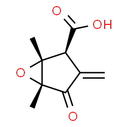 ChemSpider 2D Image | (1R,2S,5R)-1,5-Dimethyl-3-methylene-4-oxo-6-oxabicyclo[3.1.0]hexane-2-carboxylic acid | C9H10O4