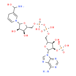 ChemSpider 2D Image | [[(2R,3S,4R,5R)-5-[3-[amino(hydroxy)methyl]-4H-pyridin-1-yl]-3,4-dihydroxy-tetrahydrofuran-2-yl]methoxy-hydroxy-phosphoryl] [(2R,3R,4R,5R)-5-(6-aminopurin-9-yl)-3-hydroxy-4-phosphonooxy-tetrahydrofuran-2-yl]methyl hydrogen phosphate | C21H32N7O17P3