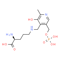 ChemSpider 2D Image | N~5~-({3-Hydroxy-2-methyl-5-[(phosphonooxy)methyl]-4-pyridinyl}methyl)-L-ornithine | C13H22N3O7P
