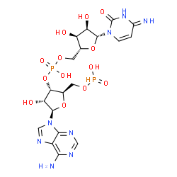 ChemSpider 2D Image | [(2R,3S,4R,5R)-3-{[(R)-{[(2R,3S,4R,5R)-5-(4-Amino-2-oxo-1(2H)-pyrimidinyl)-3,4-dihydroxytetrahydro-2-furanyl]methoxy}(hydroxy)phosphoryl]oxy}-5-(6-amino-9H-purin-9-yl)-4-hydroxytetrahydro-2-furanyl]me
thyl hydrogen phosphonate (non-preferred name) | C19H26N8O13P2