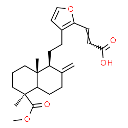 ChemSpider 2D Image | (2E)-3-(3-{2-[(1S,5S,8aR)-5-(Methoxycarbonyl)-5,8a-dimethyl-2-methylenedecahydro-1-naphthalenyl]ethyl}-2-furyl)acrylic acid | C24H32O5