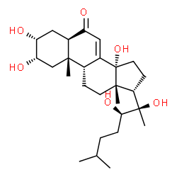 ChemSpider 2D Image | (2beta,3beta,5beta,10alpha,13alpha,14beta,22R)-2,3,14,20,22-Pentahydroxycholest-7-en-6-one | C27H44O6