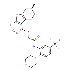 ChemSpider 2D Image | 2-{[(7S)-7-Methyl-5,6,7,8-tetrahydro[1]benzothieno[2,3-d]pyrimidin-4-yl]oxy}-N-[2-(4-morpholinyl)-5-(trifluoromethyl)phenyl]acetamide | C24H25F3N4O3S