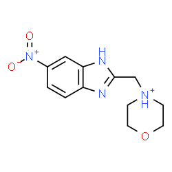 ChemSpider 2D Image | 4-[(6-Nitro-1H-benzimidazol-2-yl)methyl]morpholin-4-ium | C12H15N4O3