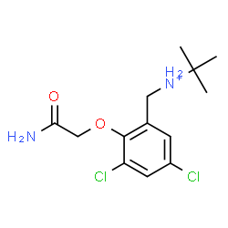 ChemSpider 2D Image | N-[2-(2-Amino-2-oxoethoxy)-3,5-dichlorobenzyl]-2-methyl-2-propanaminium | C13H19Cl2N2O2