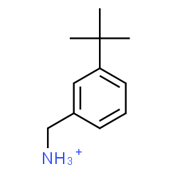 ChemSpider 2D Image | [3-(2-Methyl-2-propanyl)phenyl]methanaminium | C11H18N