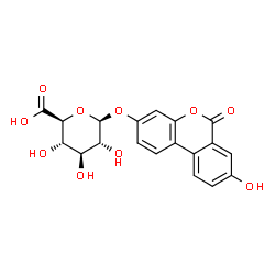 ChemSpider 2D Image | 8-Hydroxy-6-oxo-6H-benzo[c]chromen-3-yl beta-D-glucopyranosiduronic acid | C19H16O10