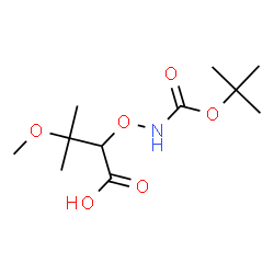 ChemSpider 2D Image | 3-Methoxy-3-methyl-2-[({[(2-methyl-2-propanyl)oxy]carbonyl}amino)oxy]butanoic acid | C11H21NO6