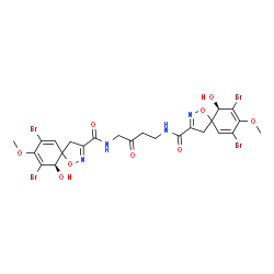ChemSpider 2D Image | (10R,10'R)-N,N'-(2-Oxo-1,4-butanediyl)bis(7,9-dibromo-10-hydroxy-8-methoxy-1-oxa-2-azaspiro[4.5]deca-2,6,8-triene-3-carboxamide) | C24H24Br4N4O9