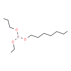 ChemSpider 2D Image | Ethyl heptyl propyl borate | C12H27BO3