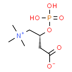 ChemSpider 2D Image | (3R)-3-(Phosphonooxy)-4-(trimethylammonio)butanoate | C7H16NO6P