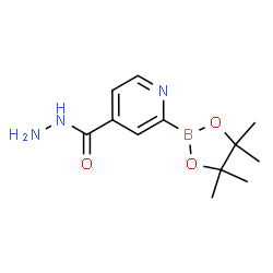 ChemSpider 2D Image | 2-(4,4,5,5-Tetramethyl-1,3,2-dioxaborolan-2-yl)isonicotinohydrazide | C12H18BN3O3