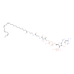 ChemSpider 2D Image | S-{1-[(2R,3R,4S,5R)-5-(6-Amino-9H-purin-9-yl)-4-hydroxy-3-(phosphonooxy)tetrahydro-2-furanyl]-3,5,9-trihydroxy-8,8-dimethyl-3,5-dioxido-10,14-dioxo-2,4,6-trioxa-11,15-diaza-3lambda~5~,5lambda~5~-dipho
sphaheptadecan-17-yl} (12Z,15Z,18Z,21Z)-12,15,18,21-tetracosatetraenethioate (non-preferred name) | C45H74N7O17P3S
