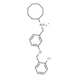 ChemSpider 2D Image | N-{3-[(2-Chlorobenzyl)oxy]benzyl}cyclooctanaminium | C22H29ClNO