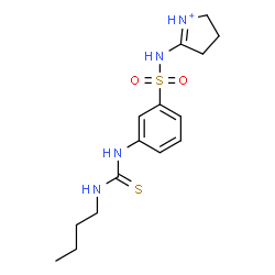 ChemSpider 2D Image | 5-[({3-[(Butylcarbamothioyl)amino]phenyl}sulfonyl)amino]-3,4-dihydro-2H-pyrrolium | C15H23N4O2S2
