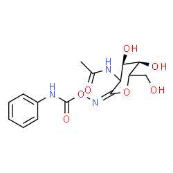 ChemSpider 2D Image | N-[(2E,4R,5R)-4,5-Dihydroxy-6-(hydroxymethyl)-2-{[(phenylcarbamoyl)oxy]imino}tetrahydro-2H-pyran-3-yl]acetamide (non-preferred name) | C15H19N3O7