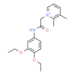 ChemSpider 2D Image | 1-{2-[(3,4-Diethoxyphenyl)amino]-2-oxoethyl}-2,3-dimethylpyridinium | C19H25N2O3