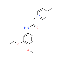 ChemSpider 2D Image | 1-{2-[(3,4-Diethoxyphenyl)amino]-2-oxoethyl}-4-ethylpyridinium | C19H25N2O3